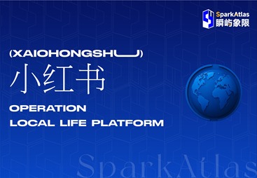 临安区小红书运营
