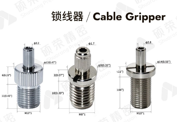 展示三张特定日期图片，图像内容待探究，引发多样想象与思考