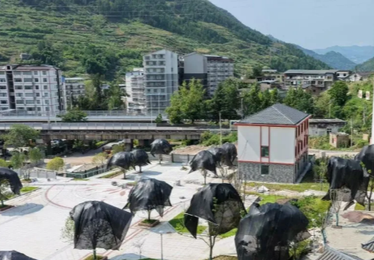 重庆云阳市红狮镇人民政府广场工程案例