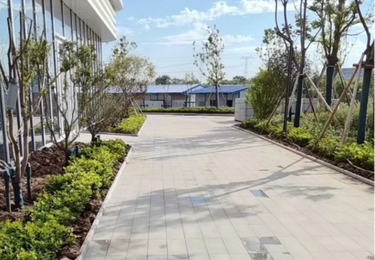 荆州市江陵市民之家工程案例