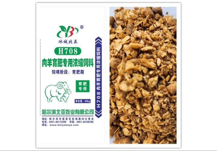 神秘数字708背后隐藏着怎样的故事？快来一探究竟！