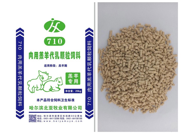 神秘数字710背后究竟隐藏着怎样的秘密，引人无限遐想