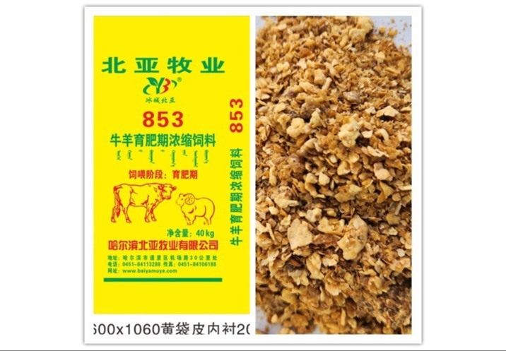 神秘数字853背后隐藏着怎样的秘密？带你一同探寻其独特意义