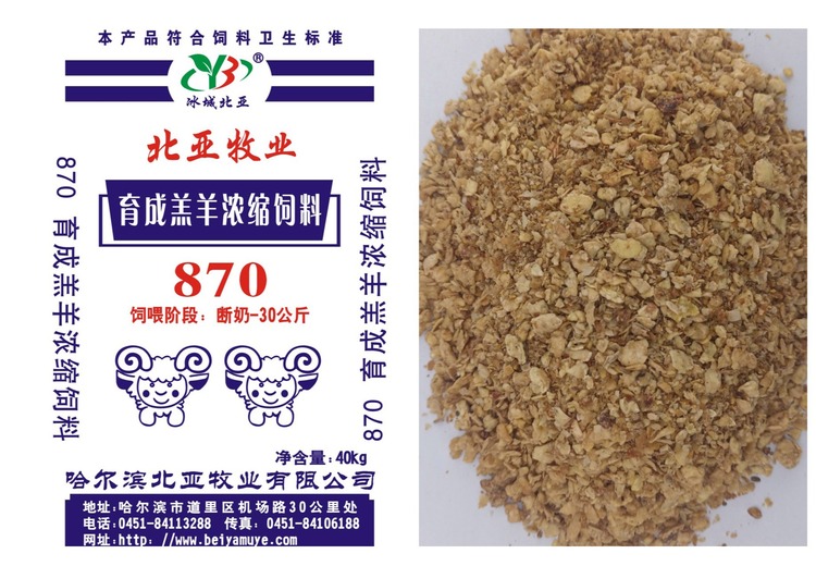 神秘数字870背后的隐情待解，它究竟隐藏着怎样不为人知的故事？
