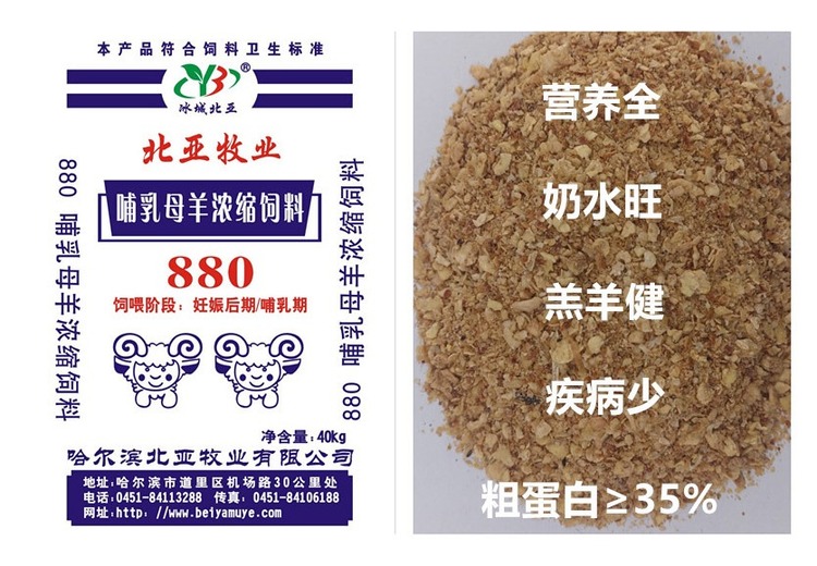 数字 880 与 (2) 的关联及背后可能蕴含的意义探究
