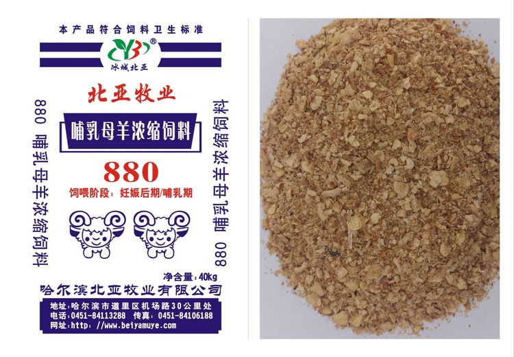 神秘数字880背后到底隐藏着怎样的秘密？一起探寻未知的真相！