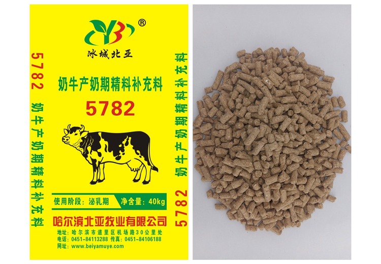 神秘数字5782背后究竟隐藏着怎样的故事？快来一探究竟！