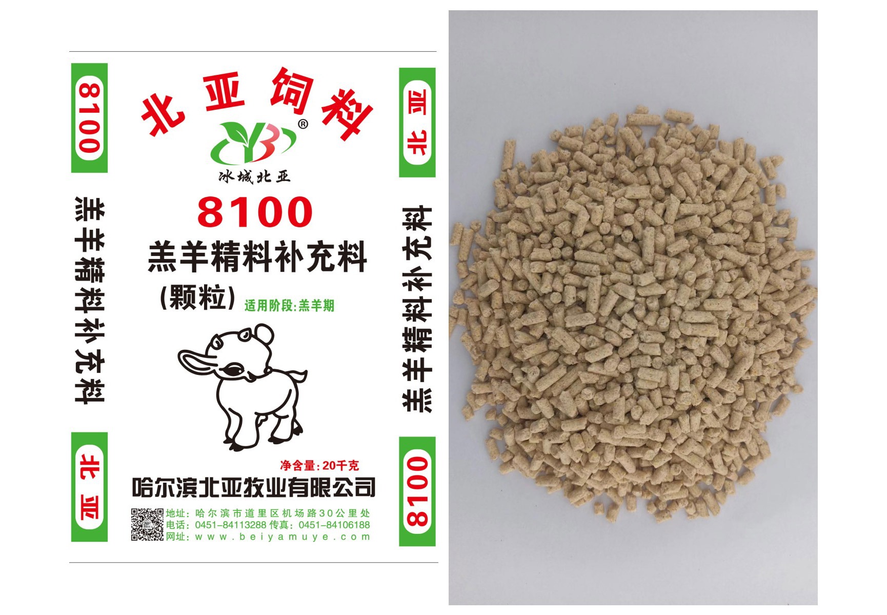 8100