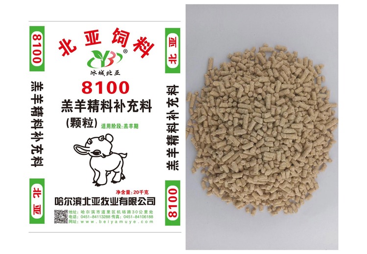 神秘数字8100背后隐藏着怎样的未知故事？引发众人好奇探寻