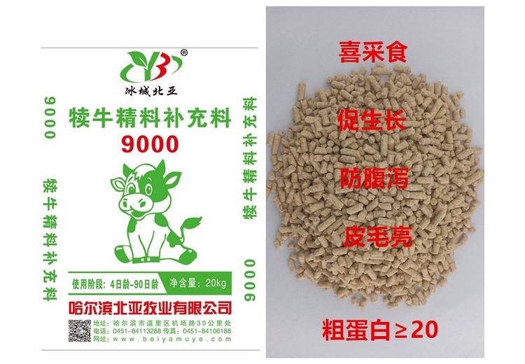 9000改造：探索未知领域，开启全新发展格局的重要尝试