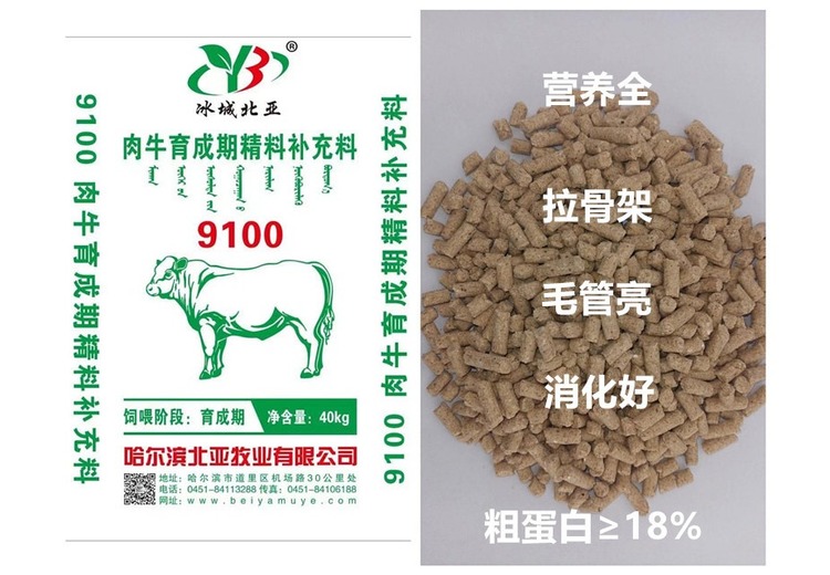 神秘数字9100背后藏着怎样的秘密？快来一探究竟！
