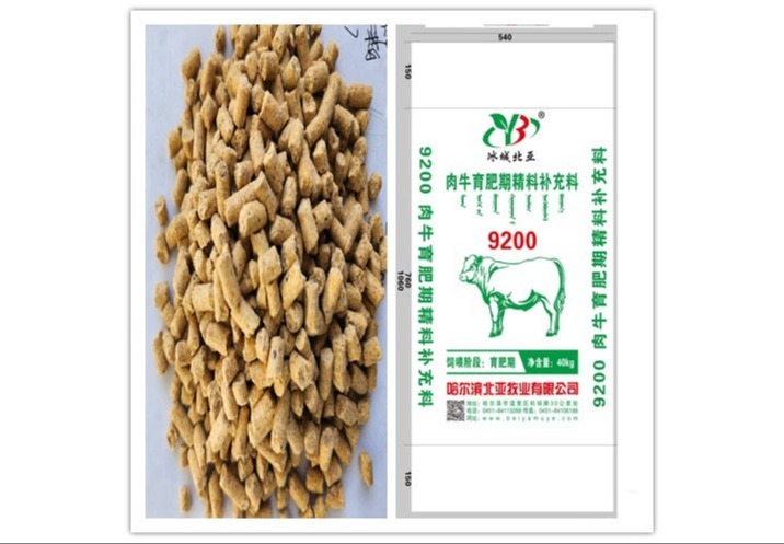 9200这个数字背后隐藏着怎样的秘密？一起来探寻其独特意义！
