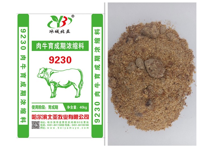 神秘数字9230背后或藏玄机，引发众人好奇与探索热潮