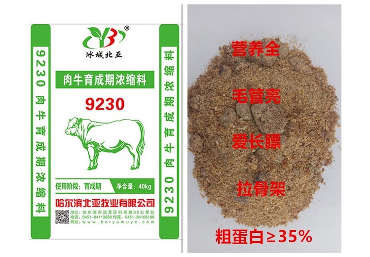 9230 - 2：神秘数字背后是否隐藏着不为人知的秘密？