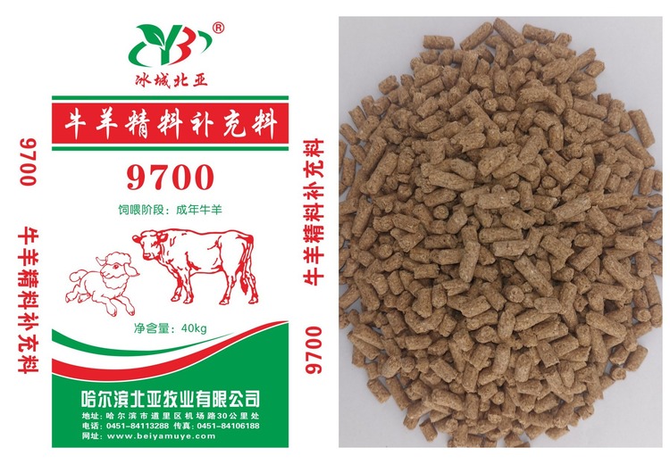 神秘数字9700背后隐藏何种玄机？带你一探究竟其独特意义与价值