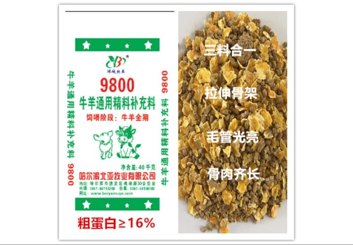 9800的独特意义与潜在价值，值得深入探究的神秘数字
