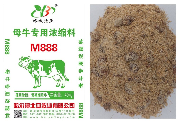 探秘M888饼：独特风味与魅力，带你领略不一样的美食体验