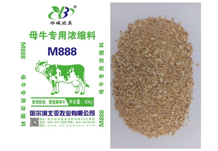 M888粕相关信息解析：成分、用途与市场潜力深度探究