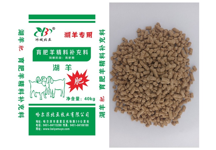 湖羊肥硕惹人爱，肉质鲜美营养高，养殖前景一片光明！