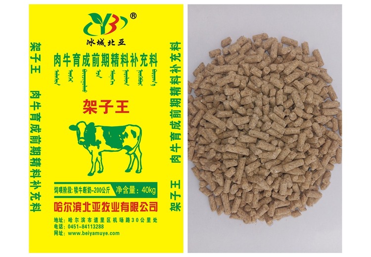 探秘架子王：他究竟有着怎样独特的魅力与故事？背后秘密等你揭晓！