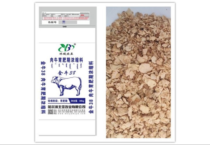 探秘金牛38：独特魅力背后隐藏着怎样的故事？不容错过的精彩呈现！