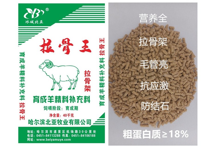 拉骨王-(2)：神秘背后究竟隐藏着怎样的故事与玄机？不容错过！