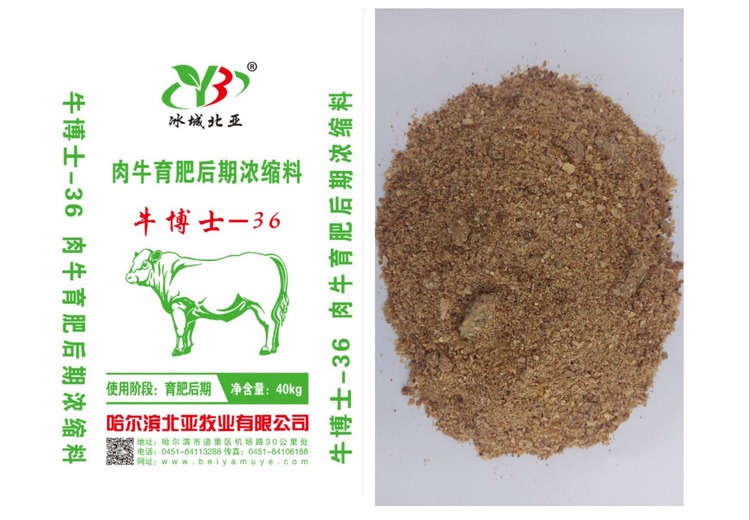 牛博士36：神秘数字背后蕴含怎样的独特意义与故事？