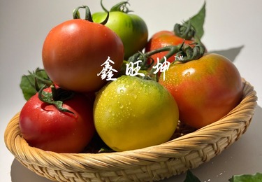 案例展示