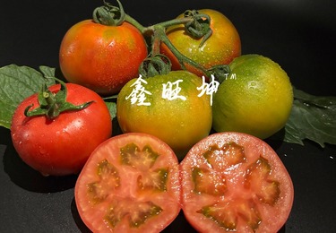 种植案例