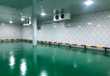速冻库