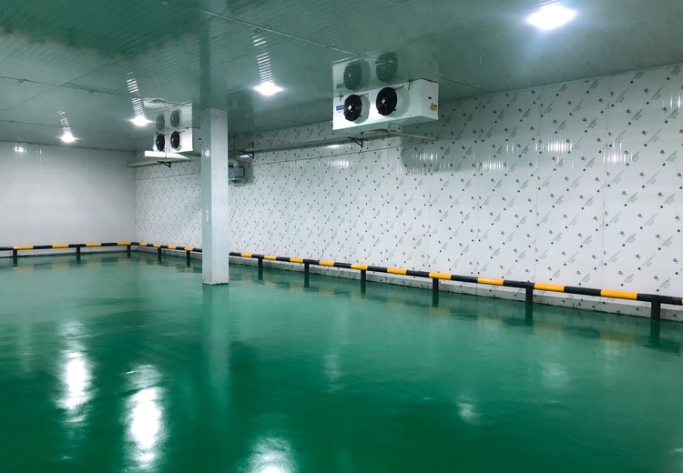 速冻库：高效保鲜利器，满足多样食材快速冷冻需求，保障品质与新鲜度
