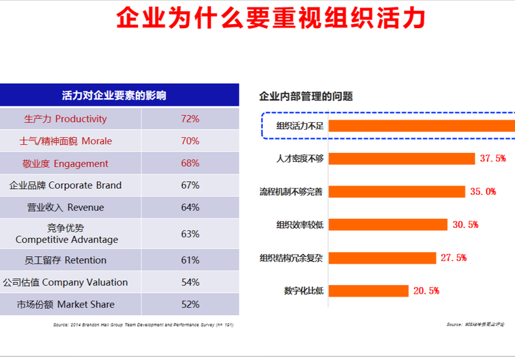 OVS组织活力扫描：诊断，多维度评估，预警风险，助力组织效能提升