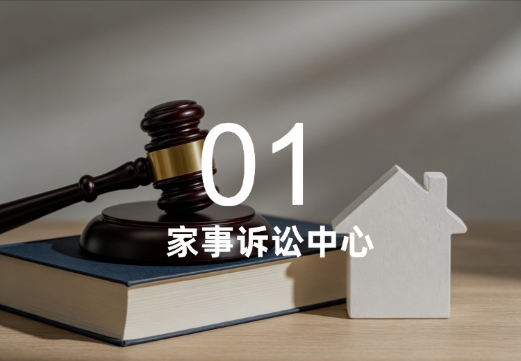 离婚、继承、析产等多类家庭纠纷及相关诉讼解决途径