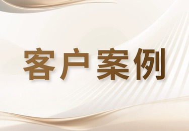 最高法十大影响力案件：全国首例代孕龙凤胎监护权案