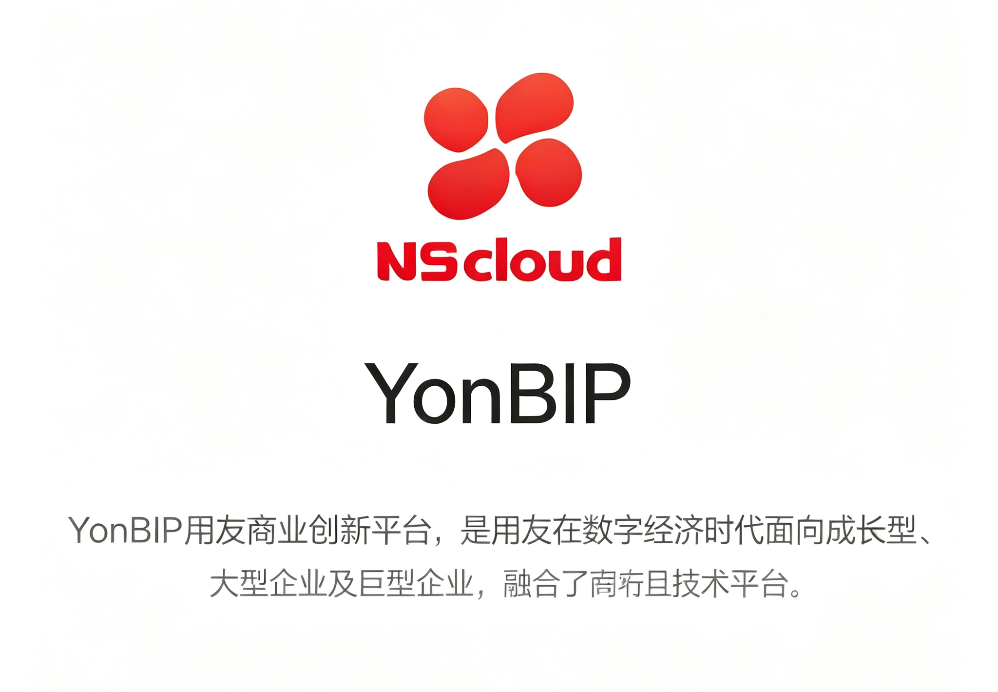 YonBIP