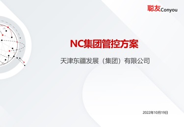 天津东疆发展（集团）有限公司NC集团管控方案