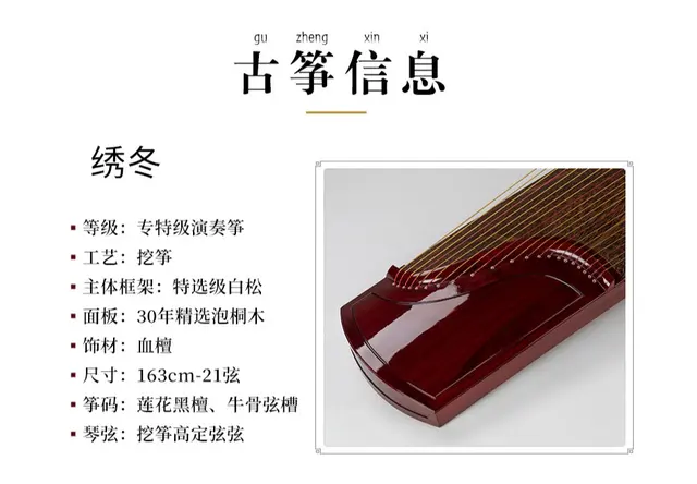 瑶鸾绣冬・专特级挖筝演奏古筝
