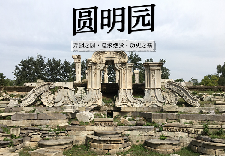 一张神秘图片引发关注，其背后究竟隐藏着怎样不为人知的故事？
