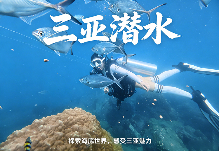 一张神秘图片背后隐藏着怎样的故事？带你一探究竟