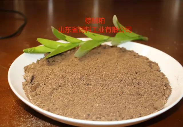 棕榈粕