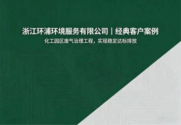 化工园区废气治理工程