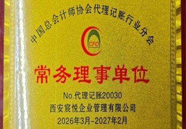 中国总会计师常务理事单位