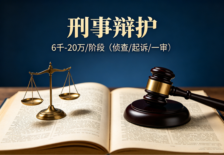 专业诉讼与仲裁代理服务，涵盖全品类案件，高效维护客户合法权益