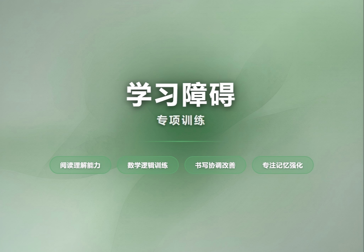 6 - 12岁学习困难儿童专属服务：双轨训练+专项辅导，助力融入普小