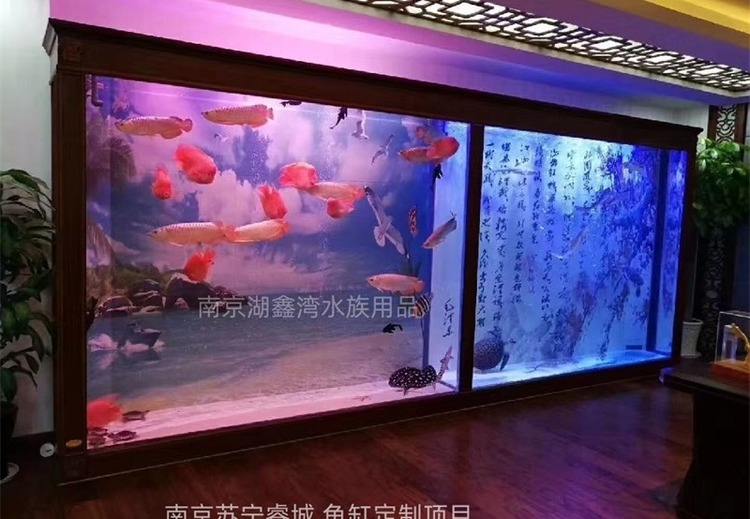 南京湖鑫湾水族：近20年深耕，全链条服务，多领域定制打造空间艺术水族产品