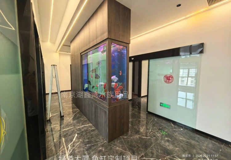 南京湖鑫湾水族：近20年深耕，全链条服务，多领域水族定制标杆