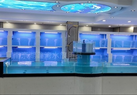 南京湖鑫湾20年深耕水族定制，全场景产品服务万千客户成本土标杆