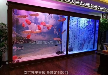南京苏宁睿城鱼缸定制
