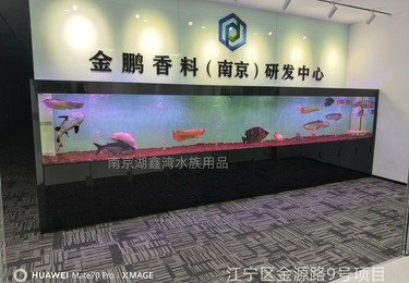金鹏香料（南京）研发中心鱼缸定制