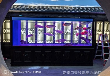新街口壹号壹座九龙缸鱼缸定制